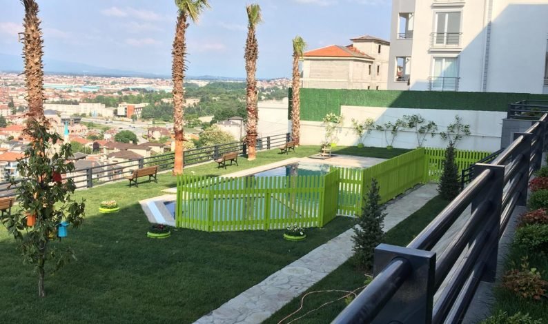 291e08d3-9392-4b94-96b7-a60add9a0659